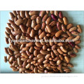 New Crop Good Quality Light Speckled Kidney Beans long shape